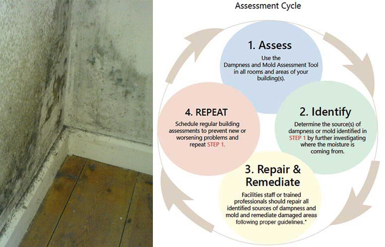 Mold Assessment Tool For Employers Released By NIOSH