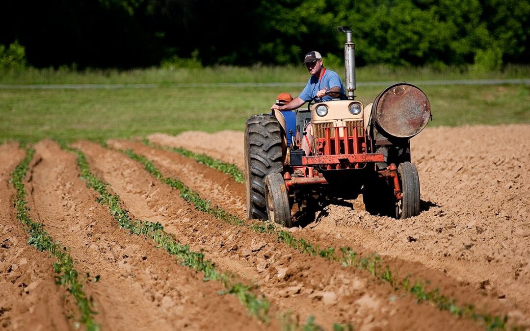 OSHA Issues COVID-19 Guidelines for Agriculture Industry