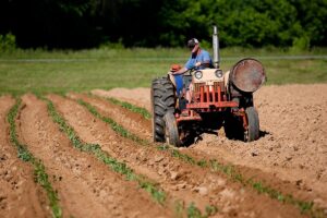 Agriculture - man riding on red tractor in field