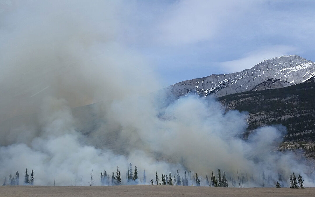 Protecting Workers from Wildfire Smoke 