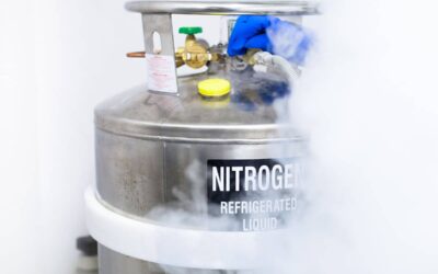 How to Protect Workers from Dry Ice & Liquid Nitrogen 