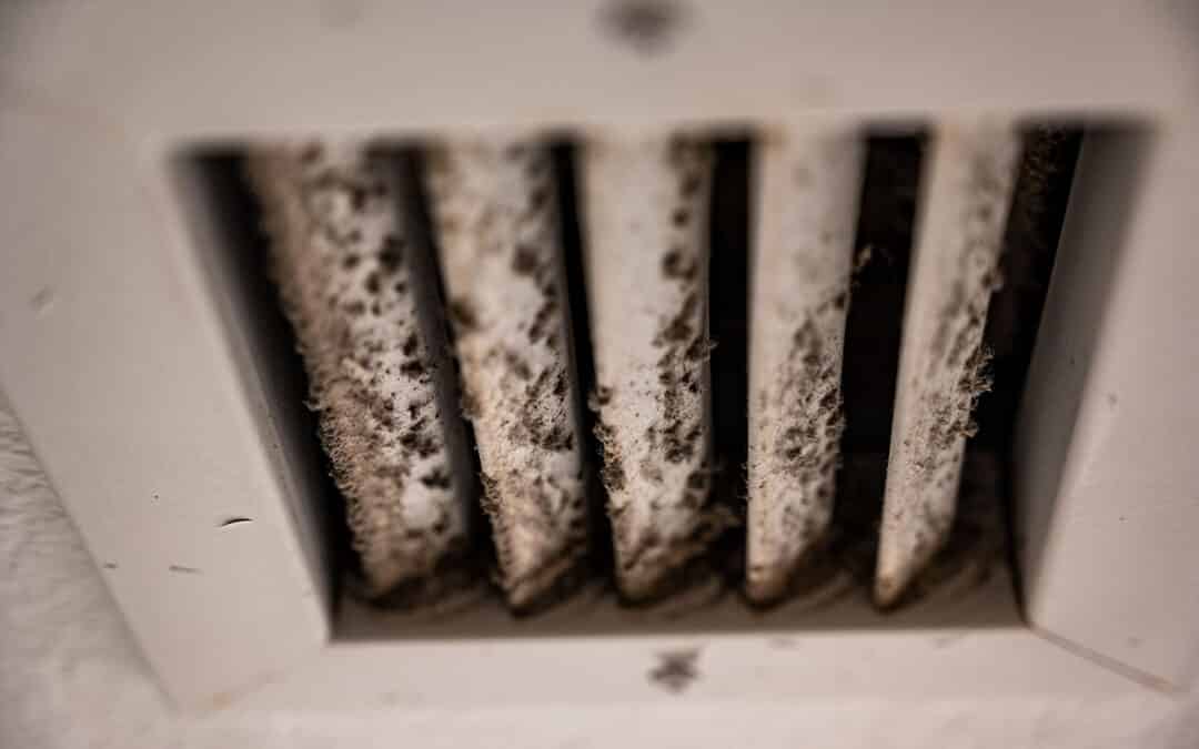 3 Ways to Keep Your Team Safe From Workplace Mold