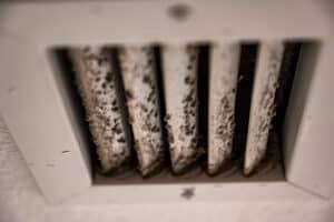 Workplace Mold in a Vent