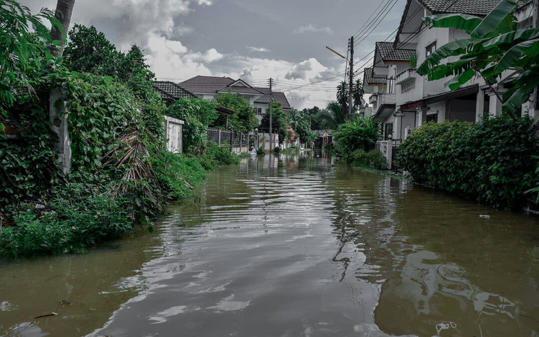 Hurricane Ida: OSHA Urges Response Crews to Prepare for Hazards