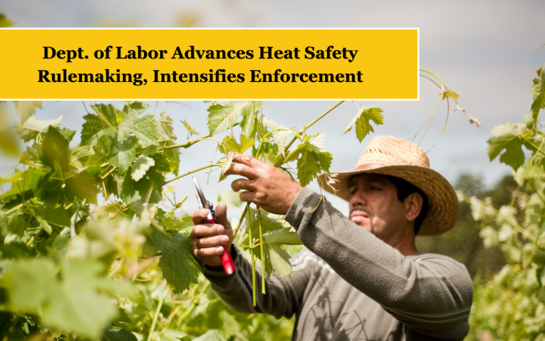 Dept. of Labor Advances Heat Safety Rulemaking, Intensifies Enforcement