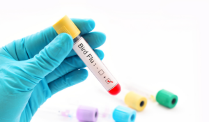 A hand wearing a latex glove, holding a blood sample vial labeled "Bird Flu"