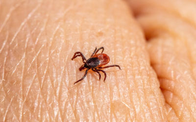 Preventing Wildlife-Related Workplace Injuries